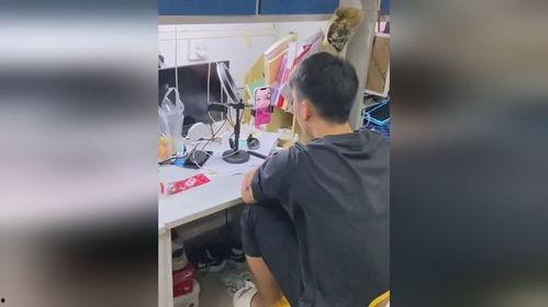 宿舍吃瓜视频搞笑,笑料百出，欢乐无限