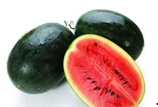 下雨吃红瓜视频,探寻红瓜的独特风味