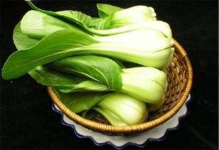 瓜牙菜怎么吃才好吃视频