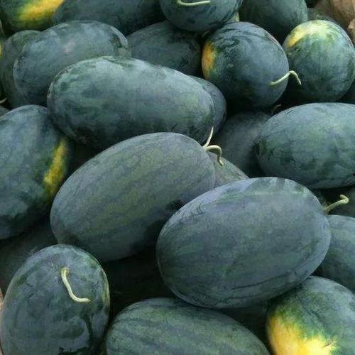 哪里可以吃西昌瓜呢视频,全国各大美食地标推荐