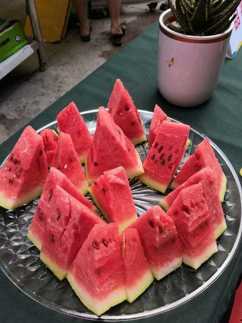 重庆吃瓜视频,揭秘山城美食背后的故事