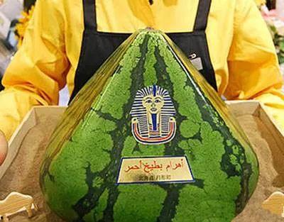 金字塔吃瓜视频,揭秘古埃及神秘文化背后的趣味故事