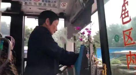 阿姨吃瓜赶车视频在线观看,趣味横生的乡村生活瞬间