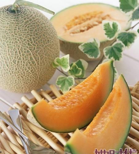 大鹅吃哈密瓜视频教程大全