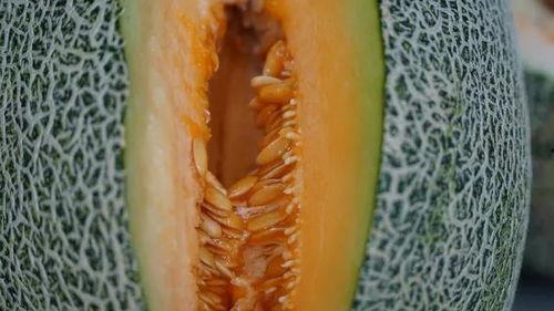 吃脆瓜不吐籽吗视频讲解,吃脆瓜真的不吐籽吗？