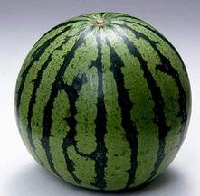 一堆吃瓜的视频素材无水印,揭秘吃瓜群众的欢乐时光