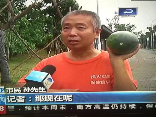 热门事件吃瓜群众视频