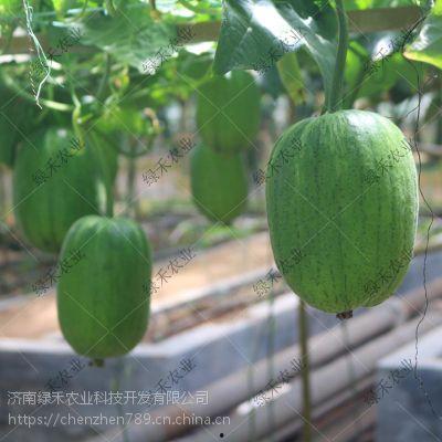 什么叫吃瓜短视频