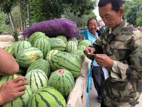 金昌市吃瓜事件视频,一场引发热议的网络风波