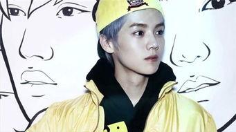 大老师吃瓜鹿晗视频全集,揭秘明星幕后故事，视频全集大揭秘