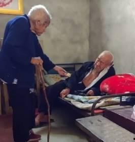 洛阳老爷爷捡烂瓜吃的视频,传承节俭美德暖人心