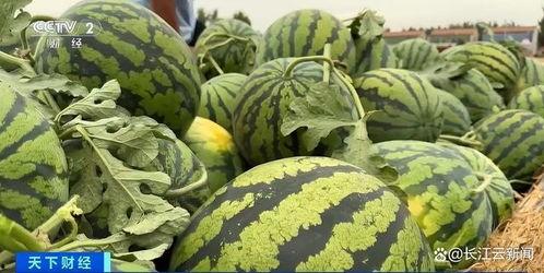 网上吃瓜视频怎么找素材,揭秘网络热点内容生成技巧