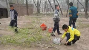 菏泽曹县吃瓜事件视频,一场网络热传的误会与反思