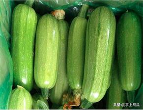 宝宝吃西葫芦瓜视频,趣味视频教你轻松制作美味辅食