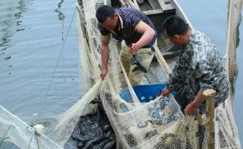 军演渔民吃瓜视频下载