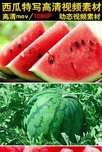 吃瓜碰杯视频大全下载,一键下载收藏！