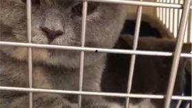 乖乖吃瓜视频,带你领略短视频的魅力与趣味