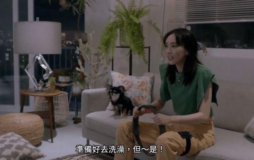 艾文吃瓜村长最新视频,最新视频背后的惊人真相