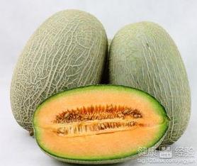 猫猫会吃哈密瓜吗视频,揭秘猫猫对哈密瓜的喜爱之谜