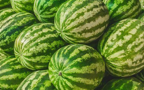 那种吃瓜视频是怎么找,揭秘热门吃瓜视频背后的制作技巧与传播策略