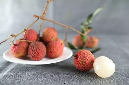 一枝荔枝吃瓜视频大全集,趣味横生的欢乐时光回顾