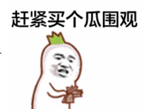 抱抱吃瓜群众视频大全集,揭秘热门视频背后的趣味故事