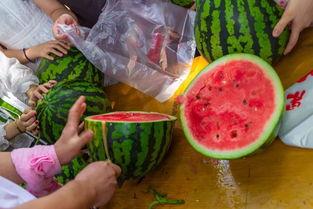 昭阳吃瓜视频,揭秘娱乐圈幕后真相