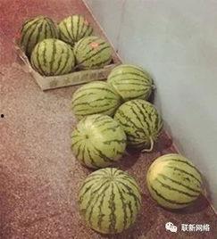 再走一波吃瓜视频大全最新,再走一波吃瓜视频大全，精彩瞬间一网打尽！