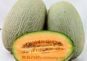 哈密瓜非常软可以吃吗视频,哈密瓜美味享用指南