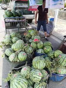 井陉吃瓜事件视频最新版,最新视频揭露惊人真相，网友热议不断