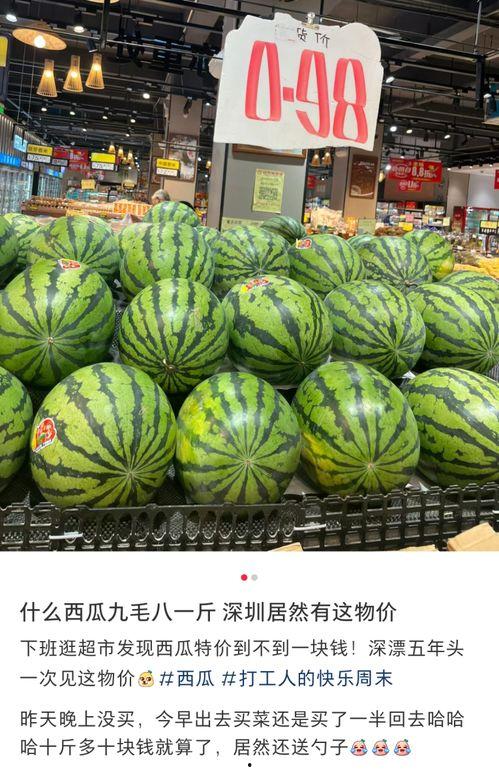 东莞下雨吃瓜视频,一场别开生面的吃瓜盛宴