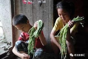 山东姐弟吃瓜视频播放,揭秘瓜农生活点滴