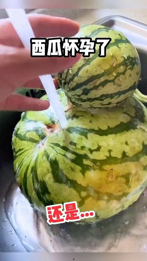 吃吊瓜搞笑视频大全集免费观看,笑翻天！吊瓜搞笑视频大全集免费畅享