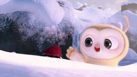 每日吃瓜搞笑视频,吃瓜搞笑视频盘点