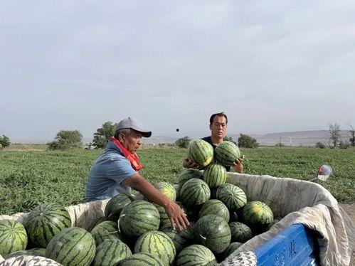吃瓜视频判刑多少年,判刑年数揭秘