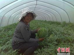 江苏徐州吃瓜事件视频,一场引发热议的街头冲突瞬间