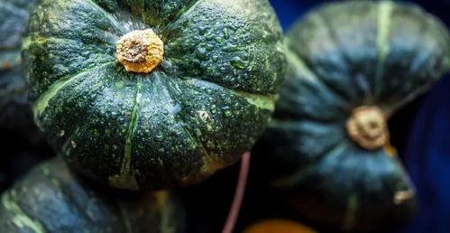 真实缅甸北部吃瓜视频大全,揭秘当地生活百态