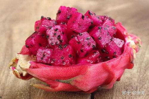 呆瓜吃火龙果视频