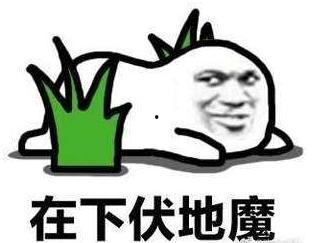 带瓜娃子吃鸡视频,一场欢乐的农家乐之旅