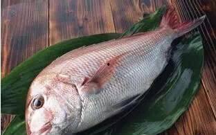 深海鱼视频吃瓜,揭秘神秘深海鱼捕食瞬间