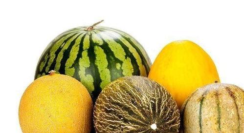 常吃蓝瓜有啥好处吗视频,蓝瓜营养益处大盘点