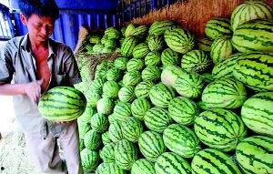 陕西吃瓜视频,揭秘地道美食背后的故事