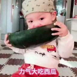 吃瓜小女孩快住手的视频