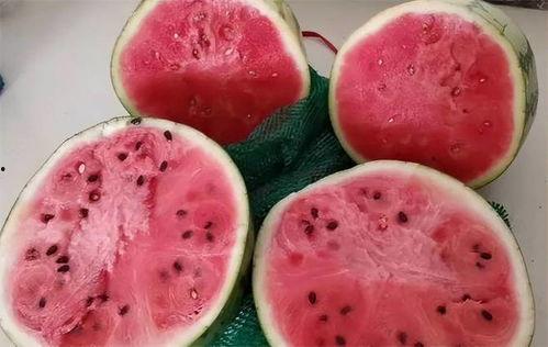 外国人吃麒麟瓜视频大全,外国人品尝麒麟瓜视频大盘点