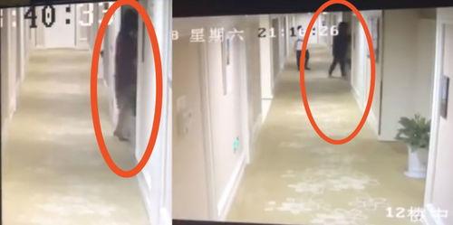 胡一天吃瓜视频,揭秘娱乐圈幕后真相