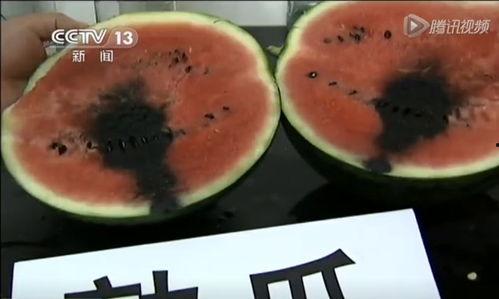 吃灰瓜的危害是什么呢视频,健康隐患不容忽视