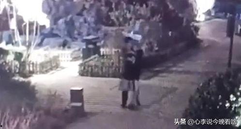 兰州兰山吃瓜事件视频,一场引发热议的网络视频风波