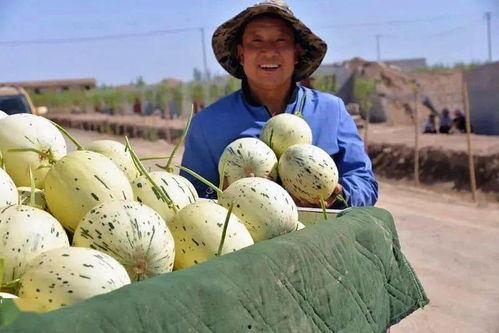 石门县吃瓜事件视频,一场引发热议的网络视频风波