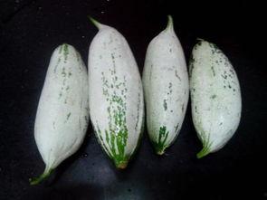 邯郸吃瓜曝光最新消息视频,真相再起波澜