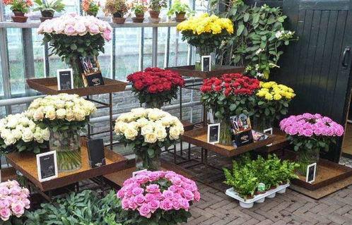 花店老板最新吃瓜视频,揭秘娱乐圈幕后真相